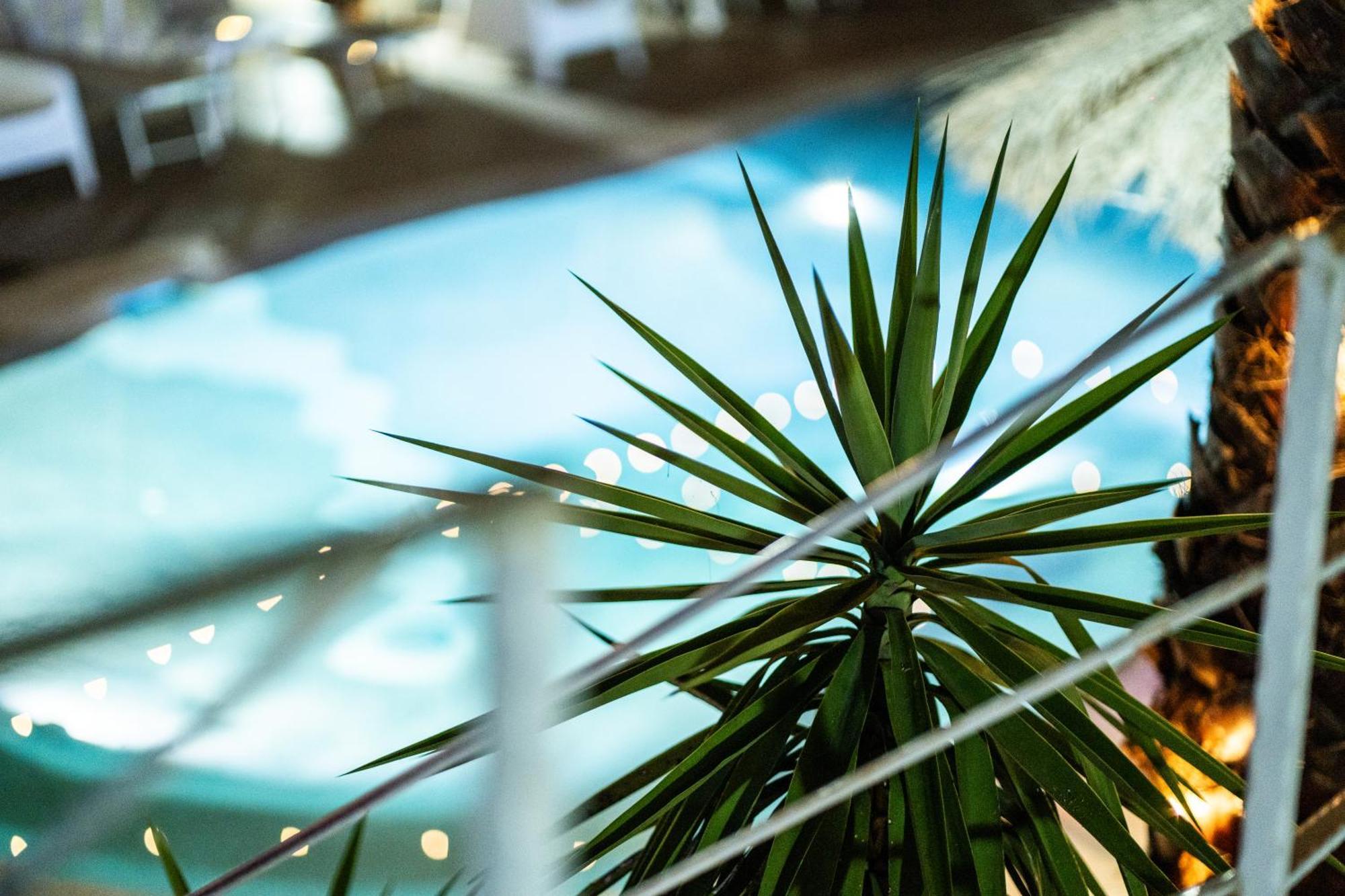 Rhelizeone & جميل Bed & Breakfast *